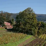 Gasthuis Quinta Vinhas