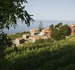 Quinta Vinhas 4* Calheta (Madeira)