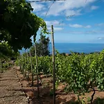 Quinta Vinhas