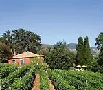 Quinta Vinhas Calheta (Madeira)