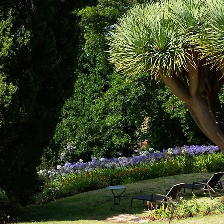 Quinta Vinhas Πανσιόν Calheta (Madeira)