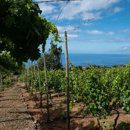 Quinta Vinhas
