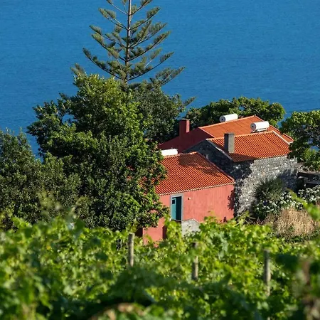 Quinta Vinhas