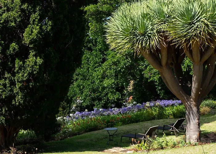 Quinta Vinhas Pensión Calheta (Madeira)