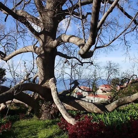 Pensión Quinta Vinhas