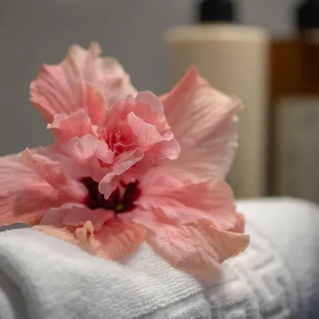 Quinta Vinhas Calheta (Madeira)