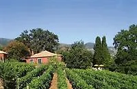 Quinta Vinhas Calheta (Madeira)