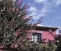 Quinta Vinhas Calheta (Madeira)