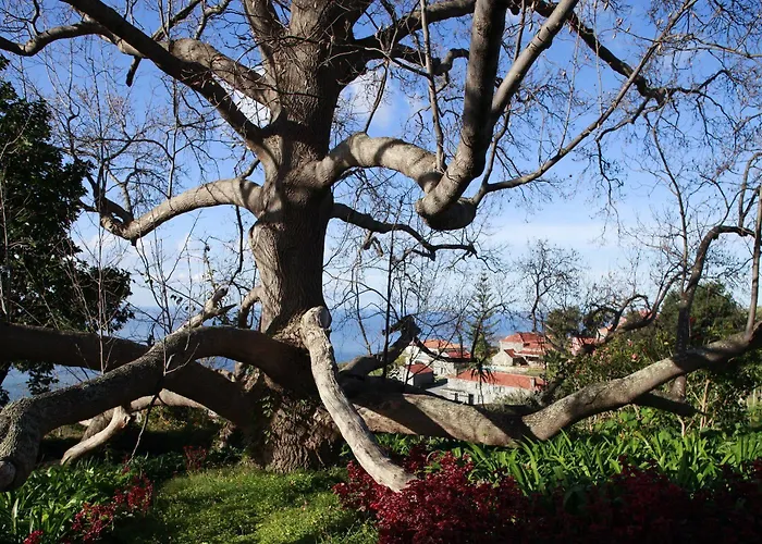 Affittacamere Quinta Vinhas