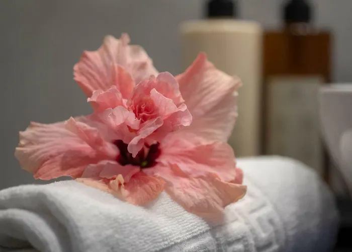 Quinta Vinhas Calheta (Madeira)